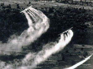 Nehmer Effective Date